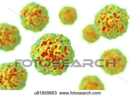 Transfusion transmitted virus particles, illustration View Large Photo Image Stock Image - Transfusion transmitted virus particles, illustration. Fotosearch