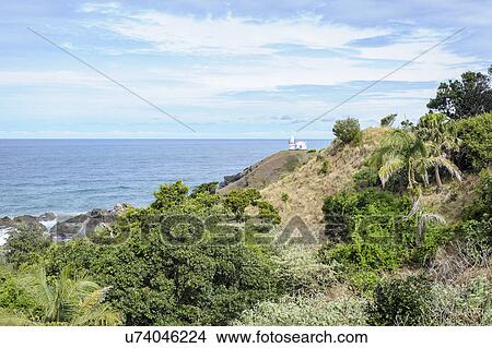 Picture - Australia, New South Wales, Landscape of cliff and sea. Fotosearch