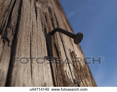 Bent nail in wood View Large Photo Image Stock Image - Bent nail in wood. Fotosearch