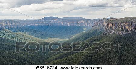 Canyon overgrown by forest View Large Photo Image Picture - Canyon overgrown by forest. Fotosearch