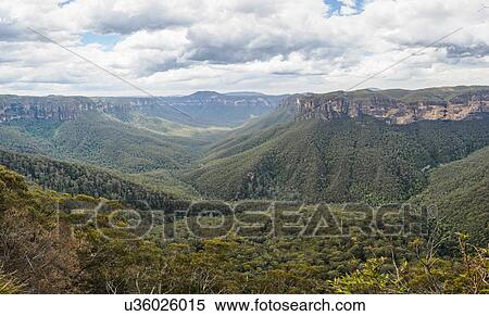 Canyon overgrown by forest View Large Photo Image Stock Photography - Canyon overgrown by forest. Fotosearch