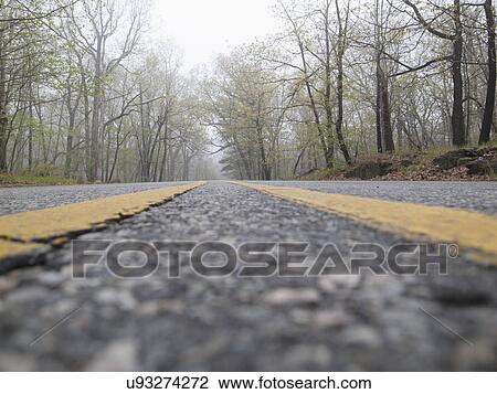 Stock Image - Empty road in forest. Fotosearch