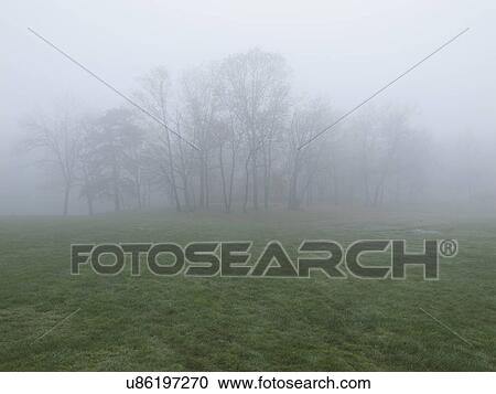 Stock Image - Fog over meadow. Fotosearch
