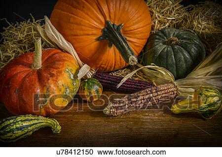 Halloween pumpkins and gourd View Large Photo Image Stock Image - Halloween pumpkins and gourd. Fotosearch