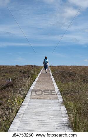 Stock Image - Ireland, Cavan County, Cuilcagh Mountain Park, Woman on boardwalk. Fotosearch
