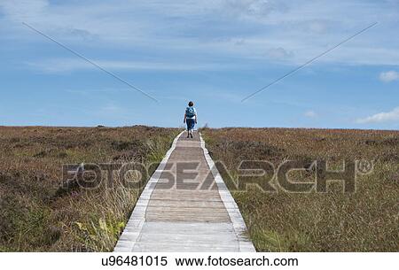 Stock Photography - Ireland, Cavan County, Cuilcagh Mountain Park, Woman on boardwalk. Fotosearch