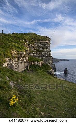 Stock Photo - Ireland, Clare County, Landscape of Cliffs of Moher. Fotosearch