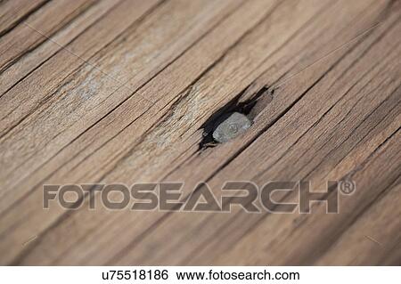 Nail in wooden board View Large Photo Image Stock Photograph - Nail in wooden board. Fotosearch