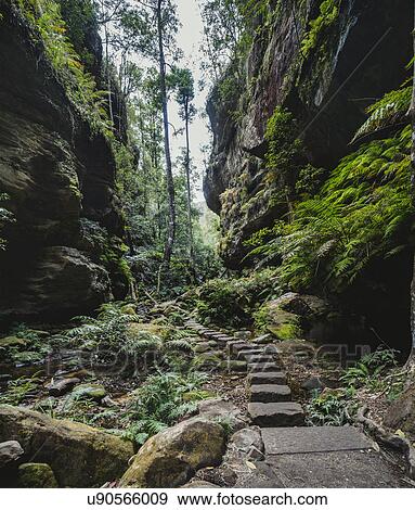 Stony path along rocks View Large Photo Image Stock Photo - Stony path along rocks. Fotosearch