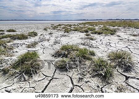 Ukraine, Dnepropetrovsk Region, Novomoskovskiy District, Lake Soleniy Lyman, Cracked dirt next to lake View Large Photo Image Stock Image - Ukraine, Dnepropetrovsk Region, Novomoskovskiy District, Lake Soleniy Lyman, Cracked dirt next to lake. Fotosearch