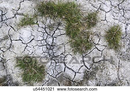 Stock Image - Ukraine, Dnepropetrovsk Region, Novomoskovskiy District, Lake Soleniy Lyman, Cracked dirt with clumps of dress. Fotosearch