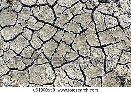 Ukraine, Dnepropetrovsk Region, Novomoskovskiy District, Lake Soleniy Lyman, Cracked dirt View Large Photo Image Stock Photo - Ukraine, Dnepropetrovsk Region, Novomoskovskiy District, Lake Soleniy Lyman, Cracked dirt. Fotosearch