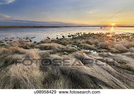Ukraine, Dnepropetrovsk Region, Novomoskovskiy District, Lake Soleniy Lyman, Sunrise over lake View Large Photo Image Stock Photo - Ukraine, Dnepropetrovsk Region, Novomoskovskiy District, Lake Soleniy Lyman, Sunrise over lake. Fotosearch