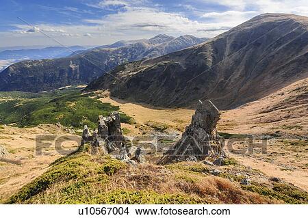 Picture - Ukraine, Ivano-Frankivsk region, Verkhovyna district, Carpathians, Chornohora, Landscape with mountain Shpytsi. Fotosearch