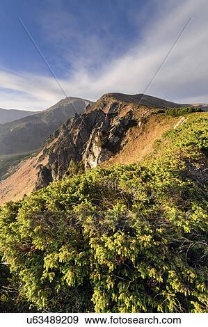 Ukraine, Ivano-Frankivsk region, Verkhovyna district, Carpathians, Chornohora, Blue sky over mountain Shpytsi View Large Photo Image Stock Photo - Ukraine, Ivano-Frankivsk region, Verkhovyna district, Carpathians, Chornohora, Blue sky over mountain Shpytsi. Fotosearch