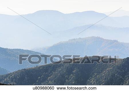 Stock Image - Ukraine, Zakarpattia region, Rakhiv district, Carpathians, Chornohora, Mountain landscape with mist. Fotosearch