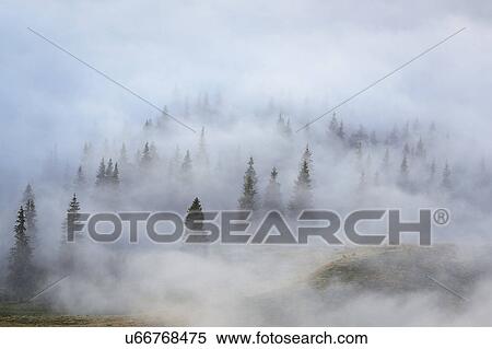 Ukraine, Zakarpattia region, Rakhiv district, Carpathians, Chornohora, mountain Petros View Large Photo Image Stock Photography - Ukraine, Zakarpattia region, Rakhiv district, Carpathians, Chornohora, mountain Petros. Fotosearch
