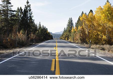 Picture - USA, California, Eastern Sierras, Route 88, Empty road among trees. Fotosearch