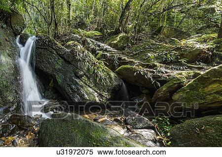 Stock Photography - Waterfall in forest. Fotosearch