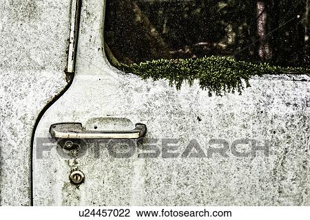 Abandoned car overgrown with moss View Large Photo Image Stock Image - Abandoned car overgrown with moss. Fotosearch