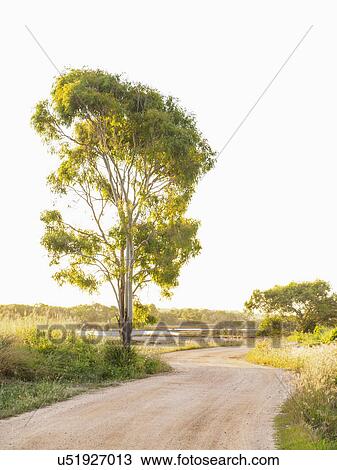 Stock Image - Australia, Queensland, Empty dirt road. Fotosearch