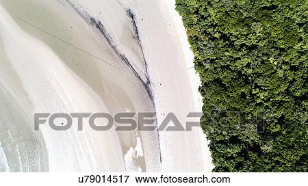 Stock Photo - Australia, Queensland, Rainforest next to beach. Fotosearch