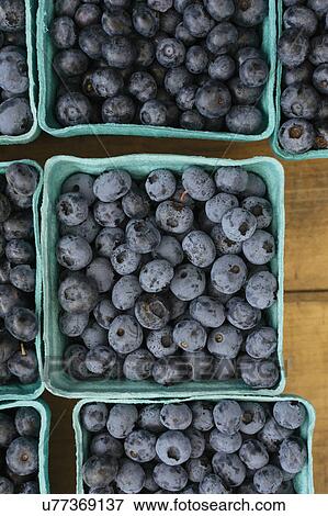 Blueberries in papers containers at market View Large Photo Image Stock Photo - Blueberries in papers containers at market. Fotosearch