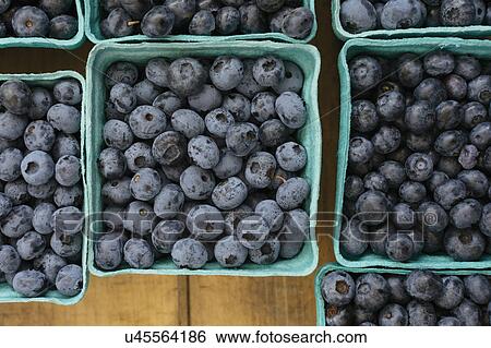 Stock Photograph - Blueberries in papers containers at market. Fotosearch