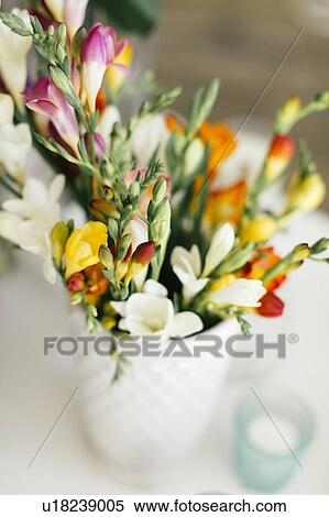 Stock Photography - Bouquet in vase on table. Fotosearch