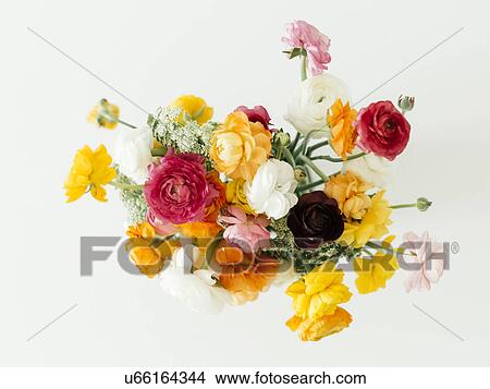 Picture - Bouquet of ranunculus flowers. Fotosearch