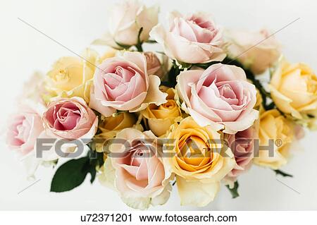 Stock Image - Bouquet of roses. Fotosearch