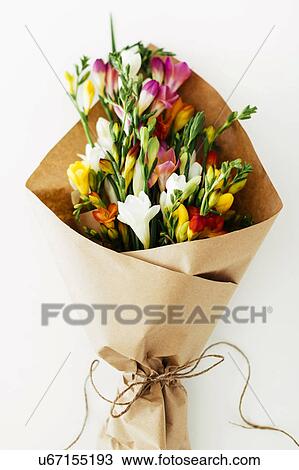 Stock Image - Bouquet wrapped in paper. Fotosearch