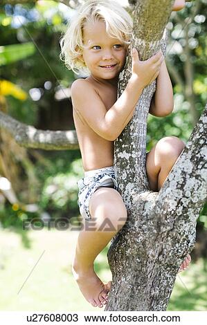 Boy (4-5) climbing on tree View Large Photo Image Stock Image - Boy (4-5) climbing on tree. Fotosearch