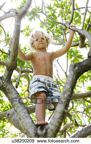 Stock Photo - Boy (4-5) climbing on tree. Fotosearch