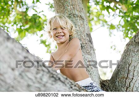 Boy sitting on tree View Large Photo Image Stock Image - Boy sitting on tree. Fotosearch