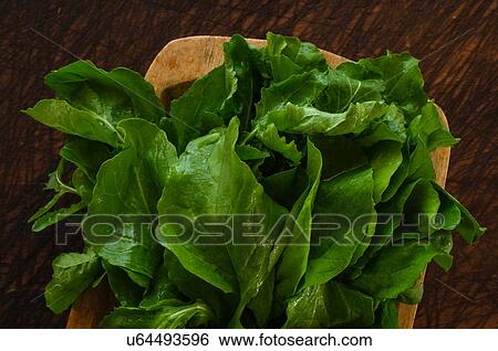 Bunch of Arugula on cutting board View Large Photo Image Stock Photograph - Bunch of Arugula on cutting board. Fotosearch