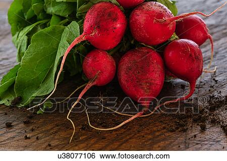 Bunch of red radishes on table View Large Photo Image Stock Photograph - Bunch of red radishes on table. Fotosearch