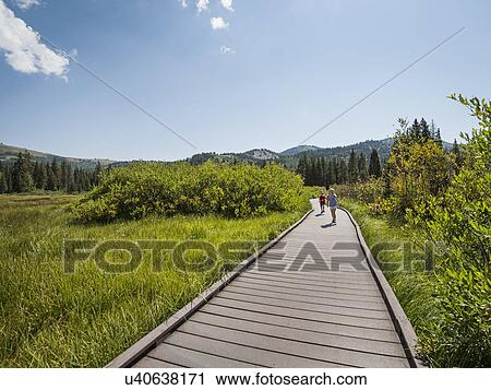 Children (4-5) walking on boardwalk View Large Photo Image Stock Image - Children (4-5) walking on boardwalk. Fotosearch