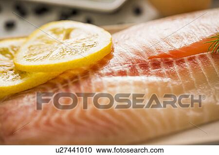 Close up of raw tilapia with slices of lemon View Large Photo Image Stock Image - Close up of raw tilapia with slices of lemon. Fotosearch