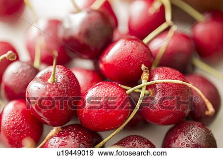 Close-up of red cherries View Large Photo Image Stock Photo - Close-up of red cherries. Fotosearch