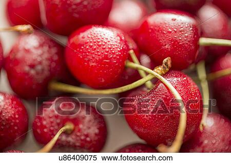 Stock Photography - Close-up of red cherries. Fotosearch