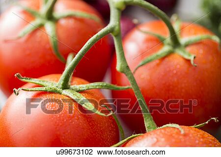 Stock Image - Close-up of red tomatoes. Fotosearch