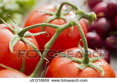 Stock Photo - Close-up of red tomatoes. Fotosearch