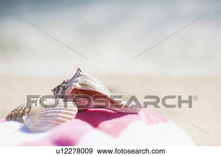 Stock Photo - Close up of sea shells and beach towel on beach. Fotosearch