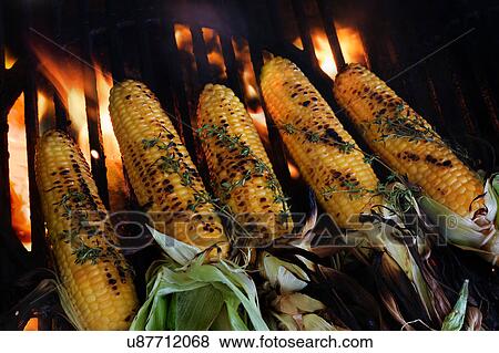 Corn on cob covered with thyme on barbeque View Large Photo Image Stock Photo - Corn on cob covered with thyme on barbeque. Fotosearch