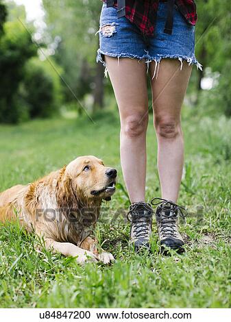 Stock Image - Dog lying beside young woman in shorts. Fotosearch