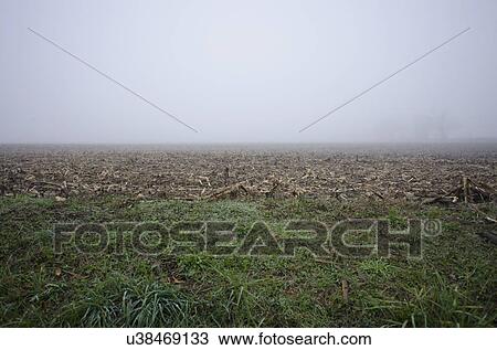 Stock Image - Foggy landscape. Fotosearch