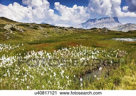 Stock Image - France, Auvergne-Rhone-Alpes, Trail in Reserve Naturelle de Carlaveyron. Fotosearch