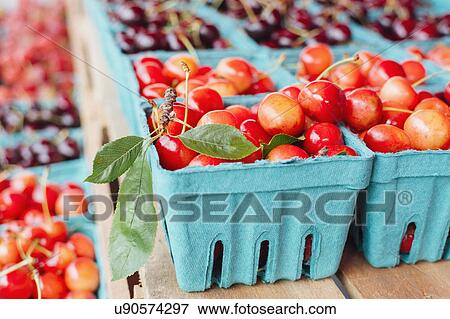 Stock Photo - Fresh cherries in paper containers at farmer's market. Fotosearch