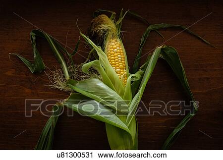 Fresh corn on wooden table View Large Photo Image Stock Image - Fresh corn on wooden table. Fotosearch